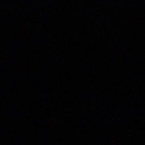 Meet your Posher, Lilly